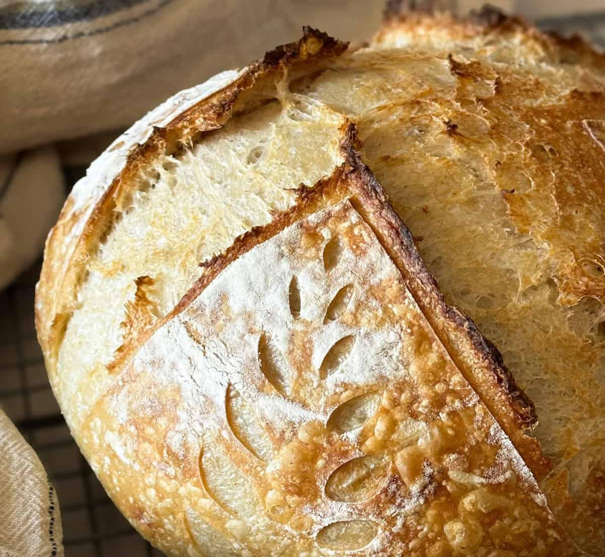 Sourdough Bread Classic long fermented loaves made from 150+ year old starter